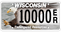 Eagle endangered species license plate