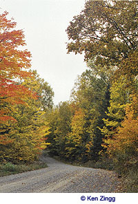 Fall colors along Rustic Road 95