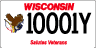 Wisconsin Salutes Veterans license plate