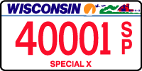Special X license plate