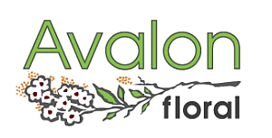 Logo - Avalon Floral