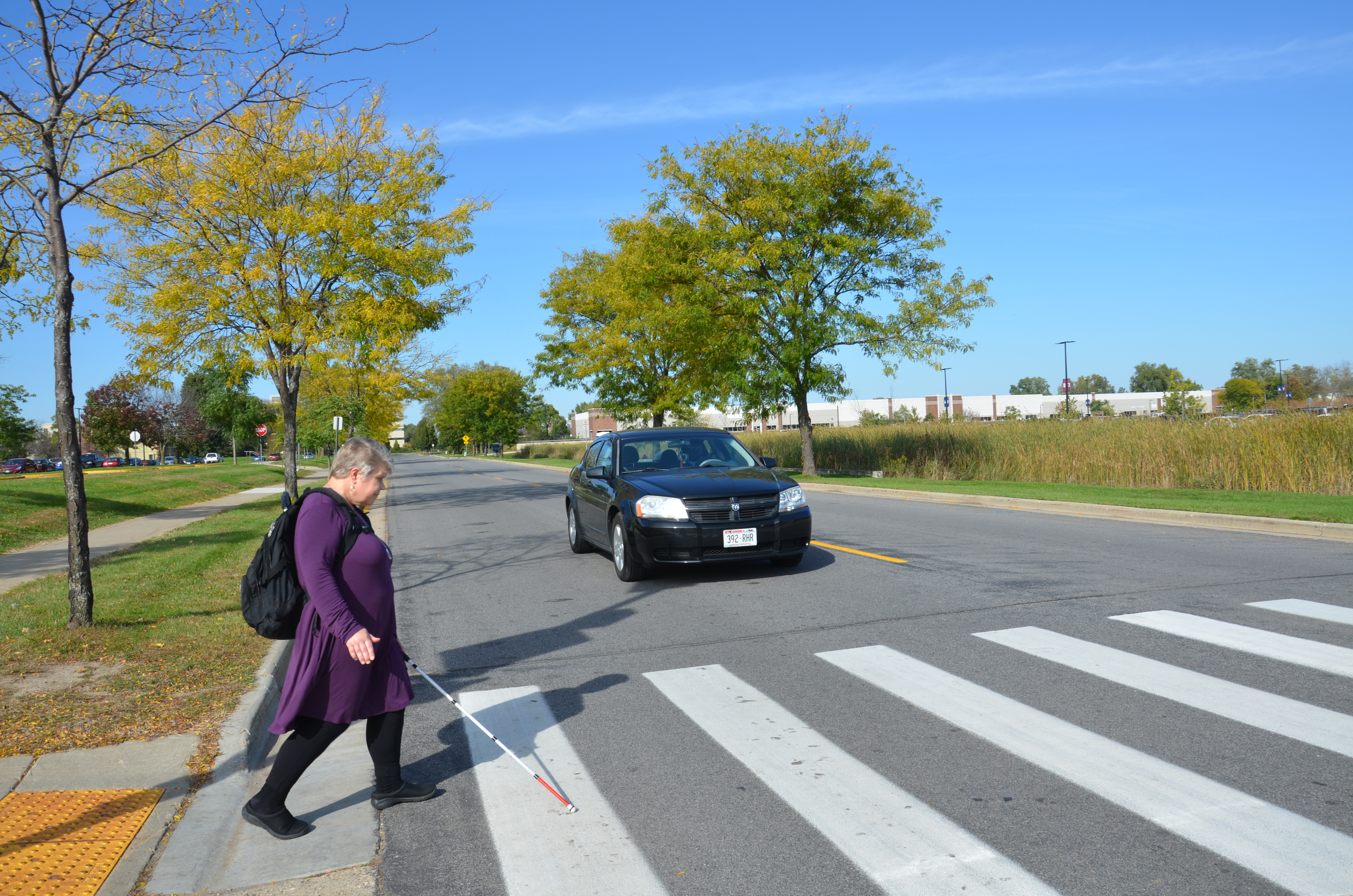 Photo illustration showing woman and child in crosswalk