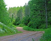 Photo of Rustic Road 108 taken by Judy A. Hoffmann